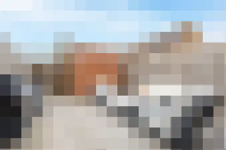 De Bogerd 26 Ameide thumbnail 27