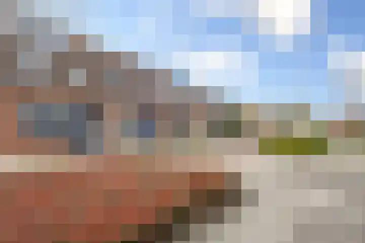 De Bogerd 26 Ameide thumbnail 28