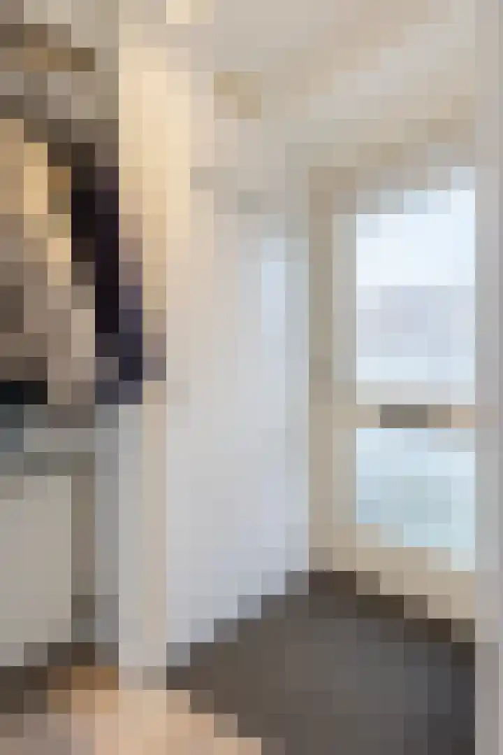 De Bogerd 26 Ameide thumbnail 6