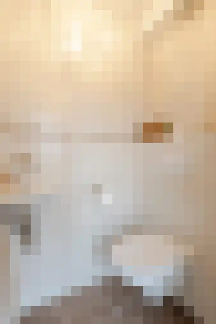 De Bogerd 26 Ameide thumbnail 7