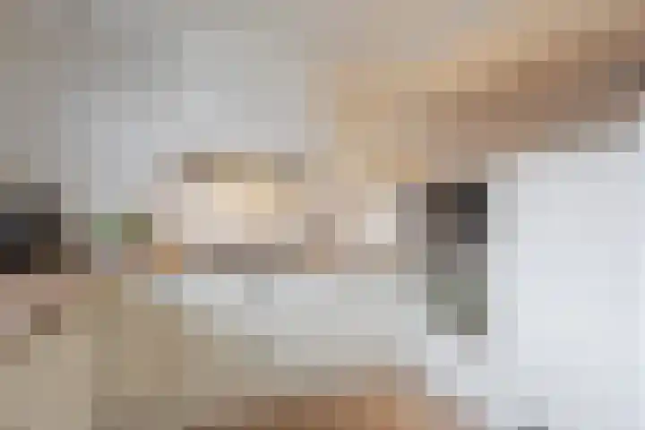 De Bogerd 26 Ameide thumbnail 8