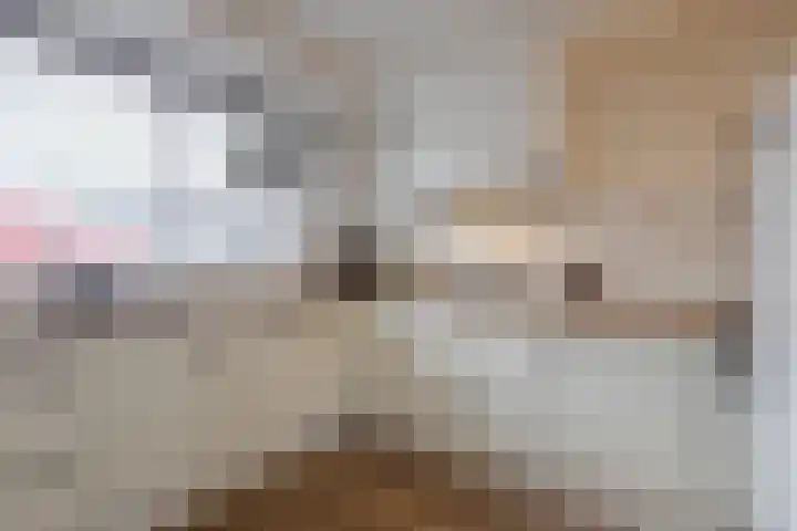 De Bogerd 26 Ameide thumbnail 9