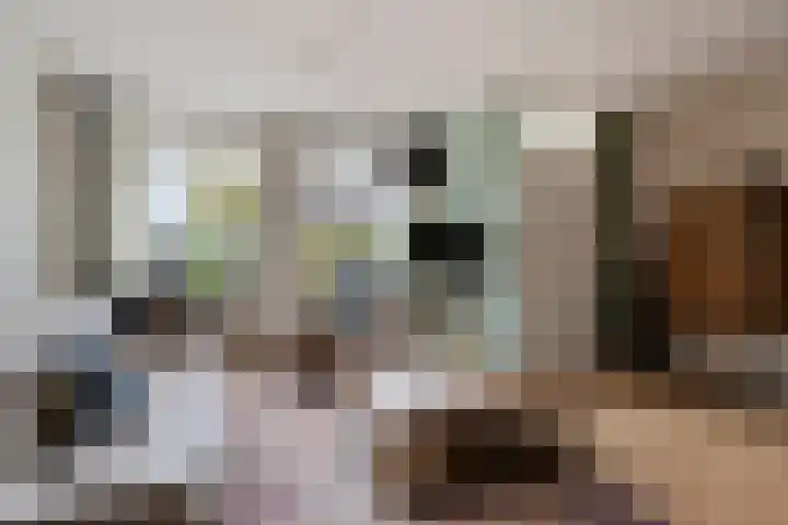 de Bogerd 3 Gameren thumbnail 11