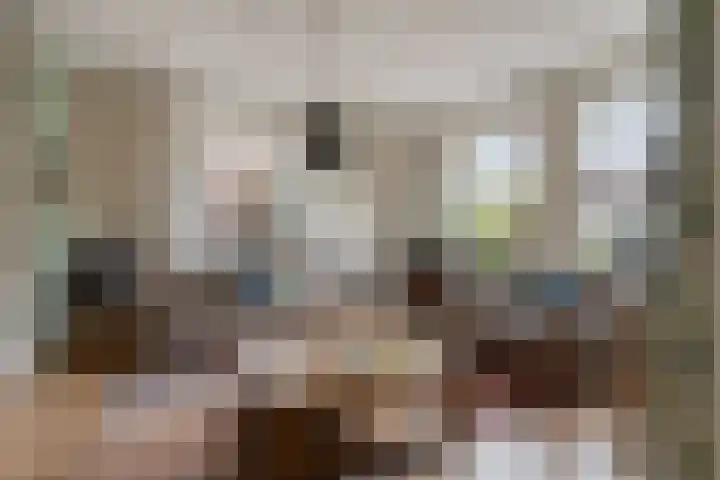 de Bogerd 3 Gameren thumbnail 12