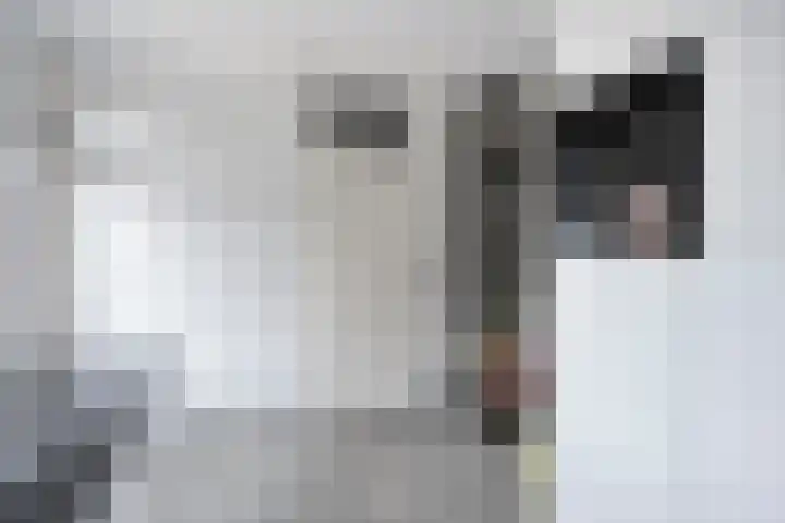 de Bogerd 3 Gameren thumbnail 20