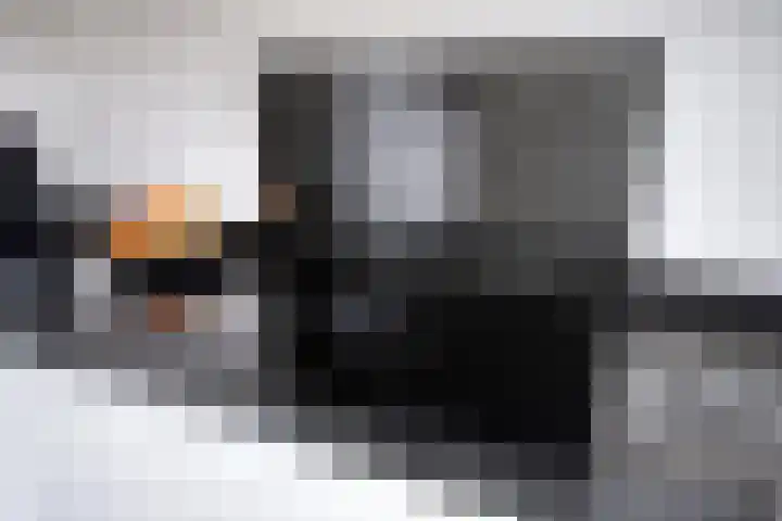 de Bogerd 3 Gameren thumbnail 21