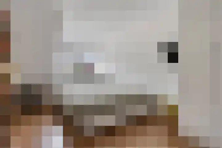 de Bogerd 3 Gameren thumbnail 26