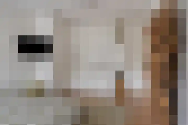 de Bogerd 3 Gameren thumbnail 27