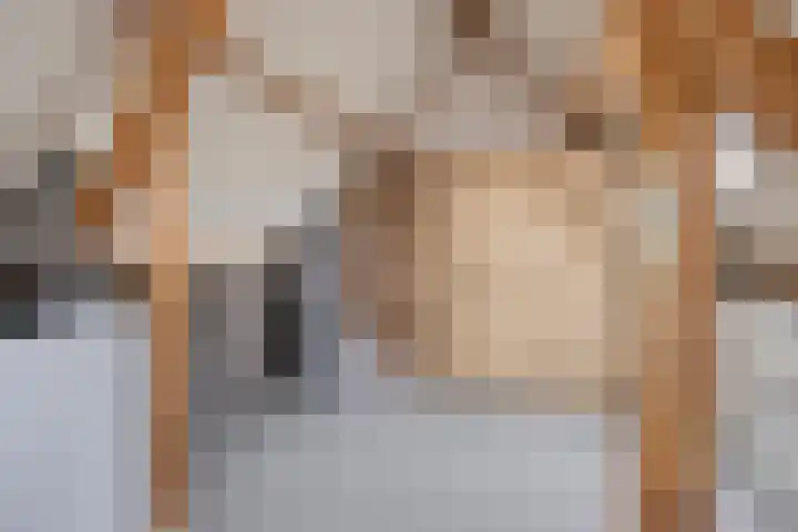 de Bogerd 3 Gameren thumbnail 33