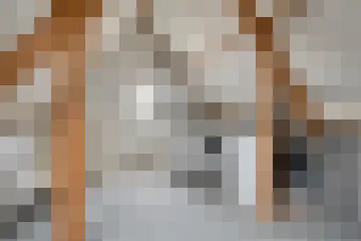 de Bogerd 3 Gameren thumbnail 34