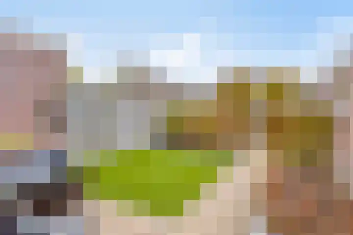 de Bogerd 3 Gameren thumbnail 37