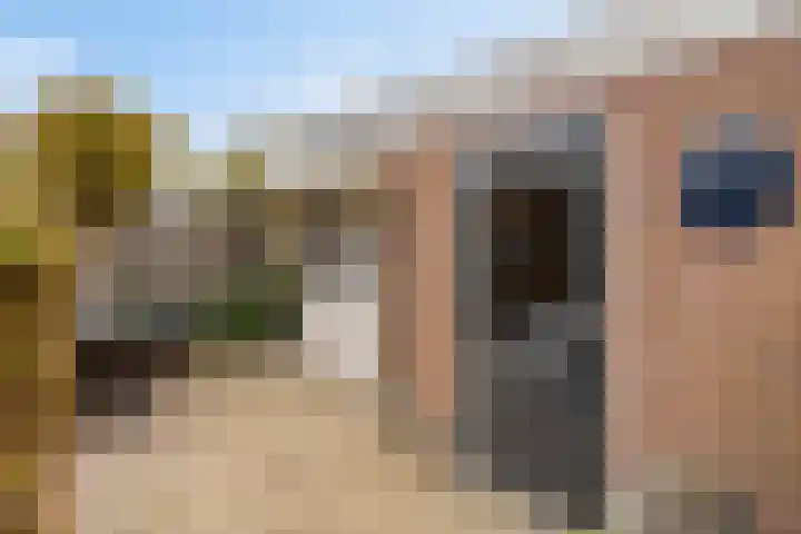 de Bogerd 3 Gameren thumbnail 39