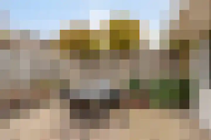 de Bogerd 3 Gameren thumbnail 40