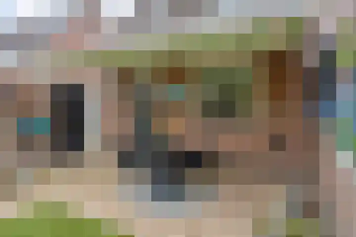 de Bogerd 3 Gameren thumbnail 42