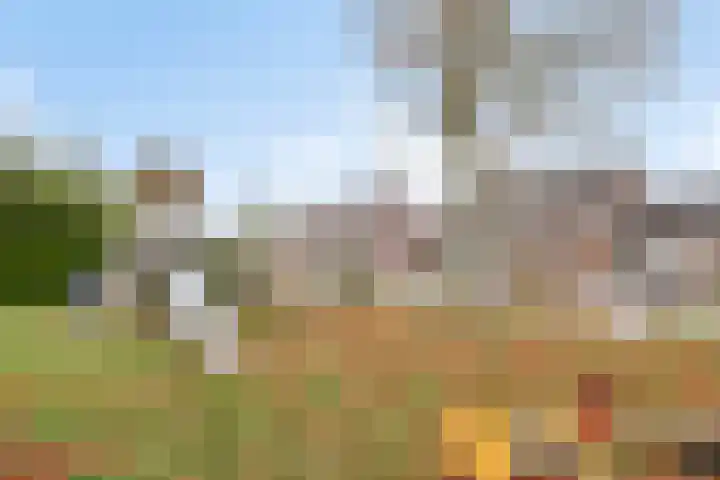 de Bogerd 3 Gameren thumbnail 43