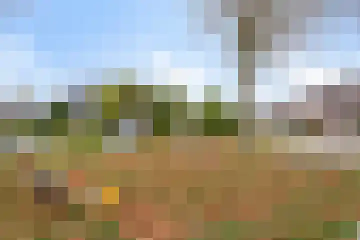 de Bogerd 3 Gameren thumbnail 44