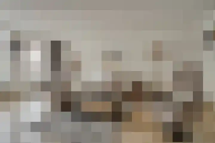 De Bolder 12 Katwijk thumbnail 12