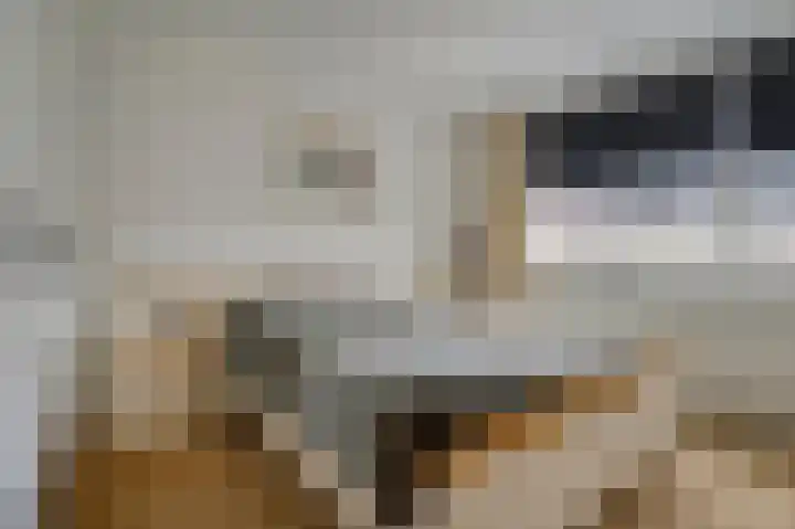 De Bolder 12 Katwijk thumbnail 21