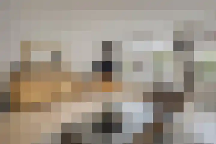 De Bolder 12 Katwijk thumbnail 4