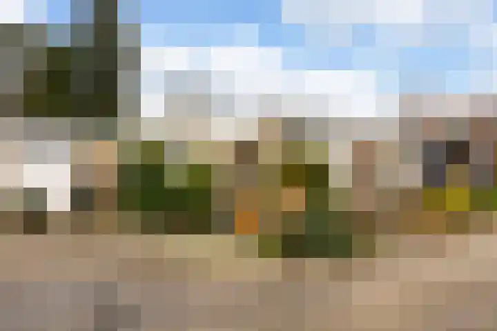 De Bongerd 13 Gorssel