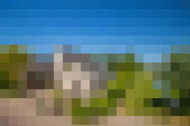 de Bongerd 2 dans Pannerden