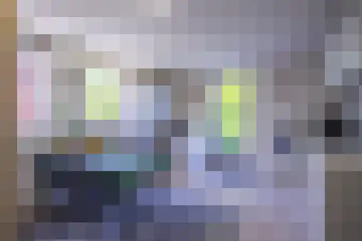 de Bongerd 2 Pannerden thumbnail 16