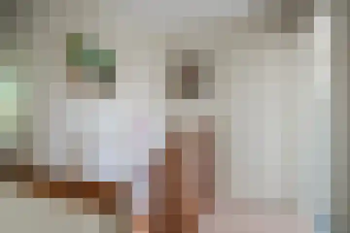 de Bongerd 2 Pannerden thumbnail 17