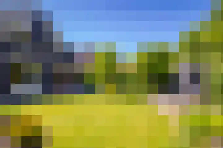 de Bongerd 2 Pannerden thumbnail 30