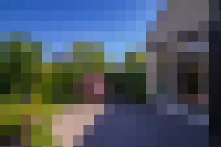 de Bongerd 2 Pannerden thumbnail 31
