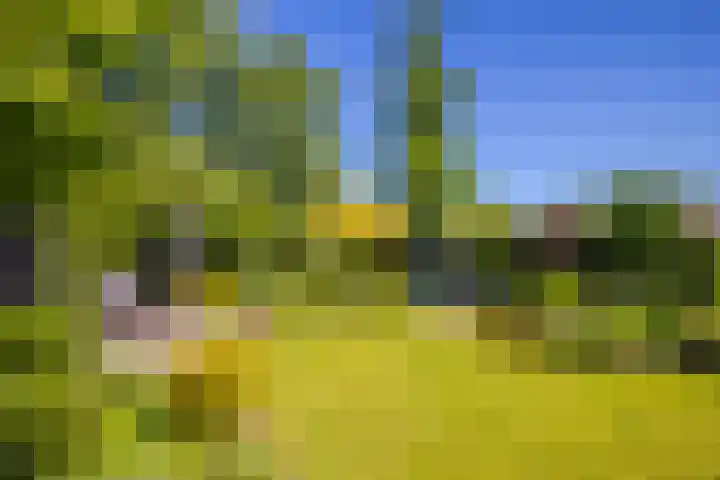 de Bongerd 2 Pannerden thumbnail 32