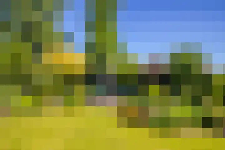 de Bongerd 2 Pannerden thumbnail 35