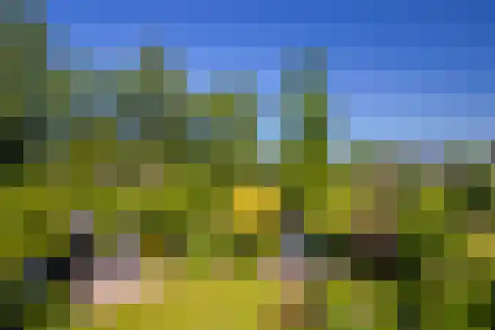 de Bongerd 2 Pannerden thumbnail 36