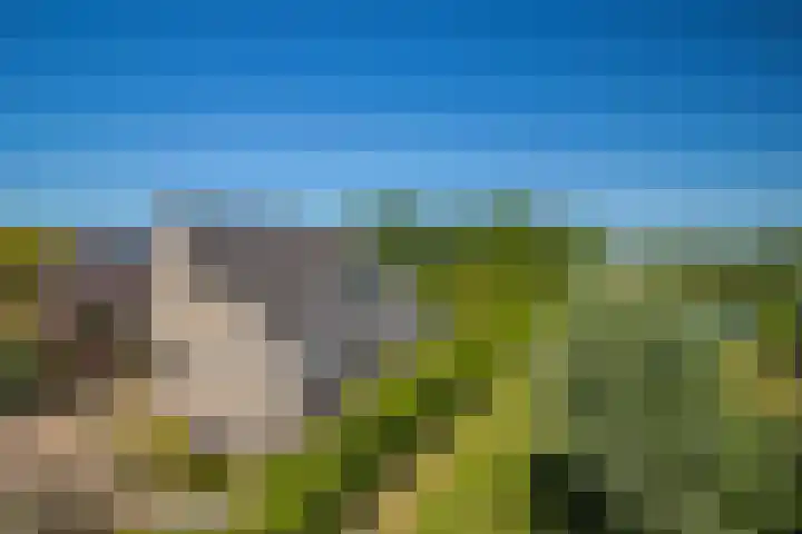de Bongerd 2 Pannerden thumbnail 38