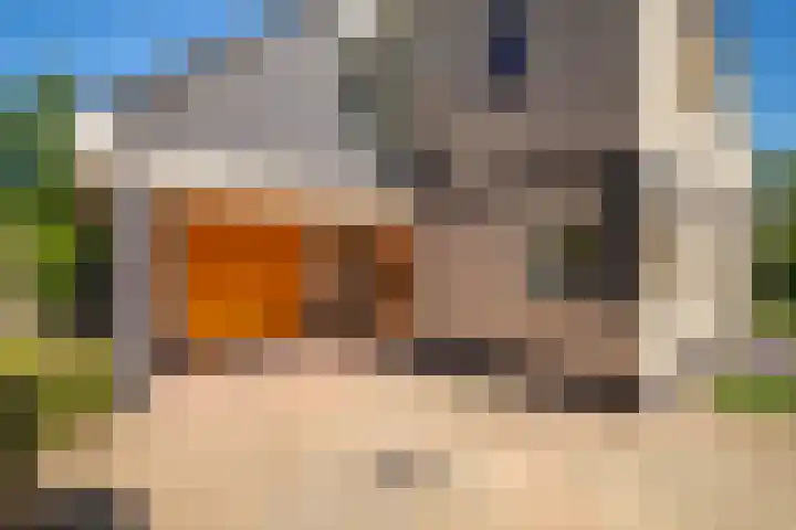 de Bongerd 2 Pannerden thumbnail 6
