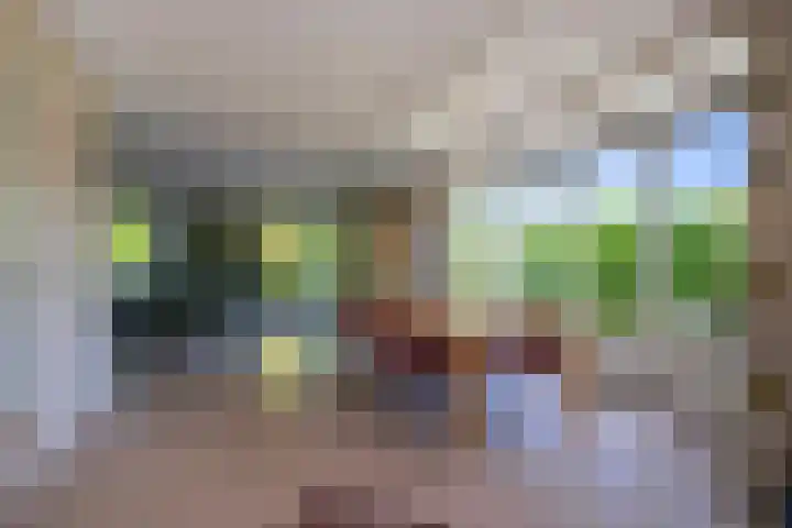 de Bongerd 2 Pannerden thumbnail 9