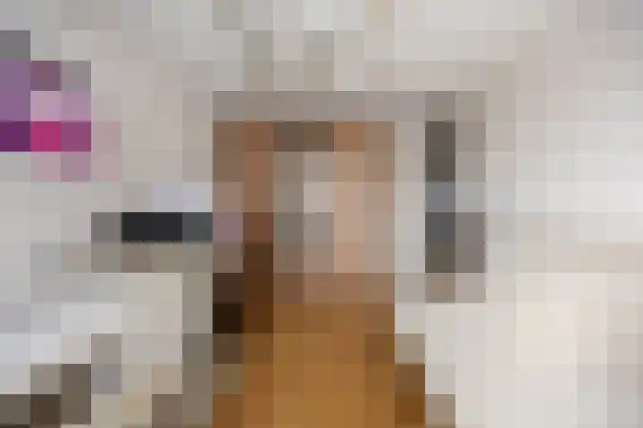 de Bongerd 20 Winssen thumbnail 30