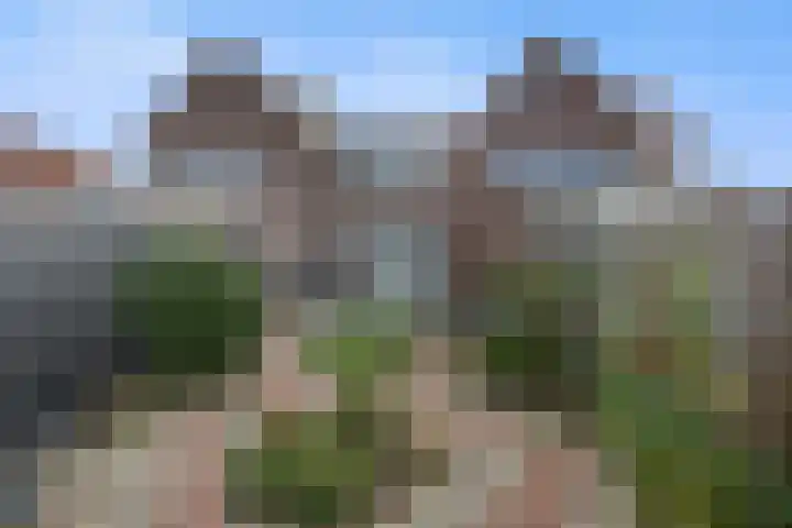 de Bongerd 20 Winssen thumbnail 31