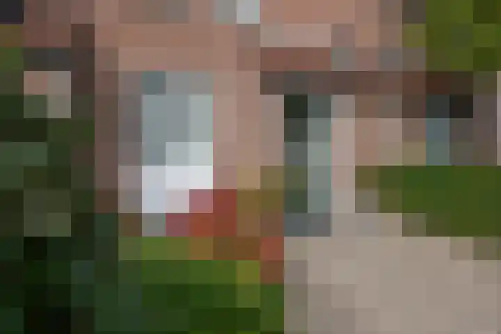de Bongerd 20 Winssen thumbnail 36