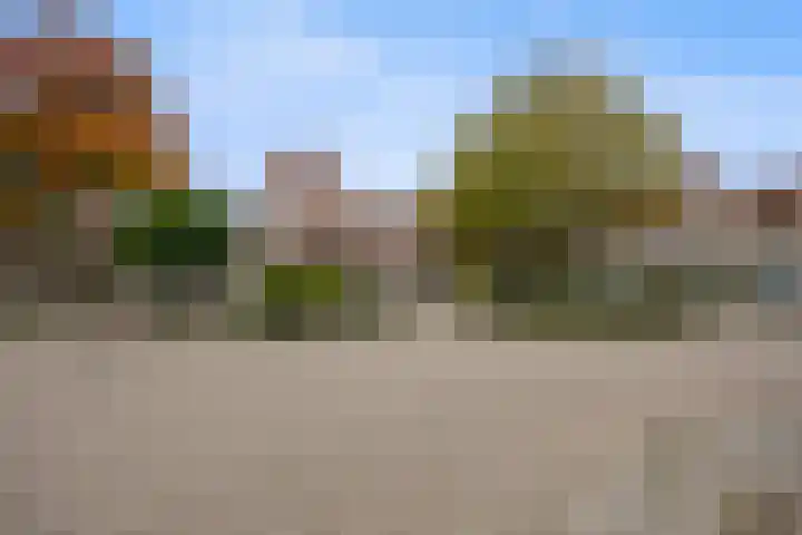 de Bongerd 20 Winssen thumbnail 38