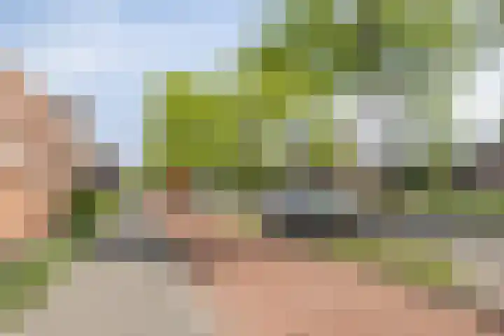 de Bongerd 20 Winssen thumbnail 39