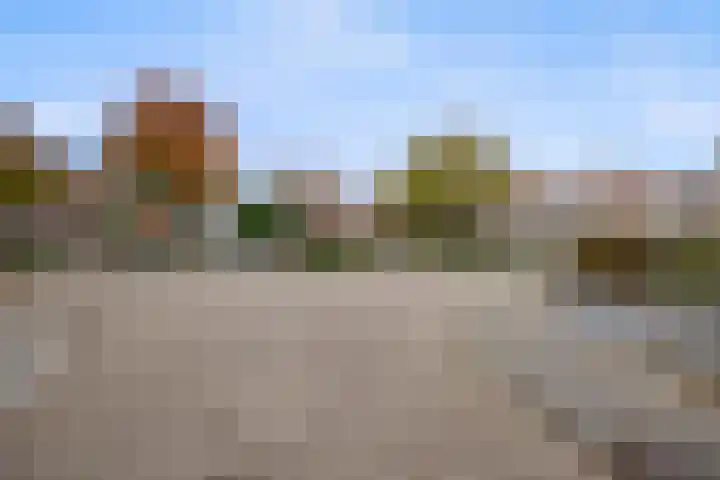 de Bongerd 20 Winssen thumbnail 39