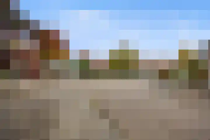 de Bongerd 20 Winssen thumbnail 40