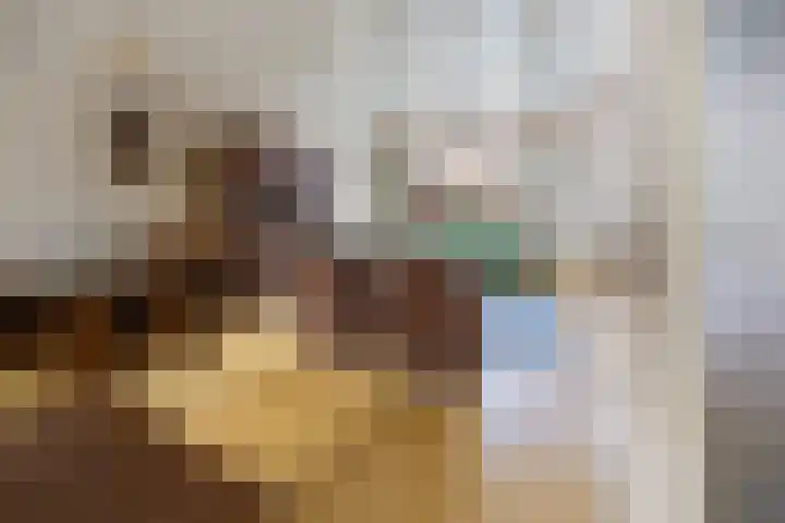 de Bongerd 20 Winssen thumbnail 7