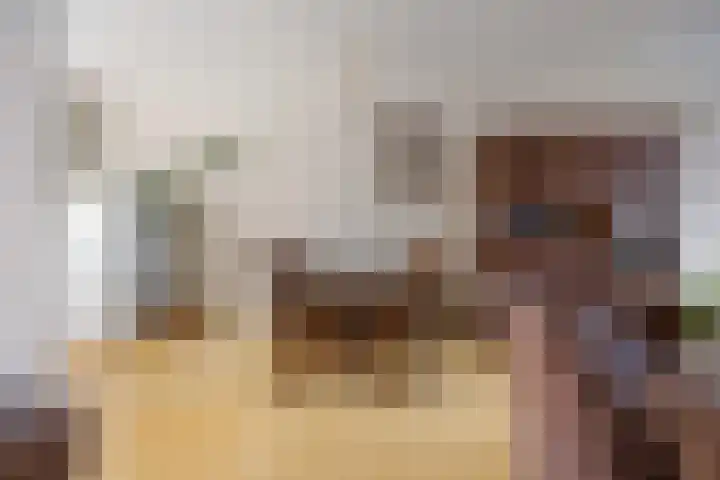 de Bongerd 20 Winssen thumbnail 8