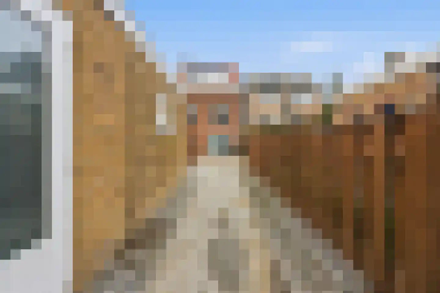 de Bongerd 20 Winssen thumbnail 9