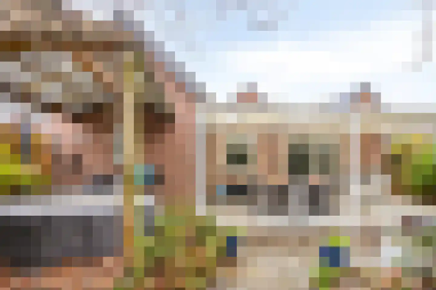 De Bongerd 26 Oss thumbnail 10