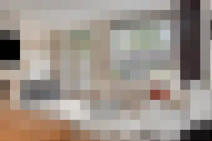 De Bongerd 26 Oss thumbnail 11