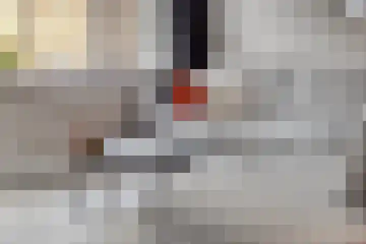 De Bongerd 26 Oss thumbnail 12