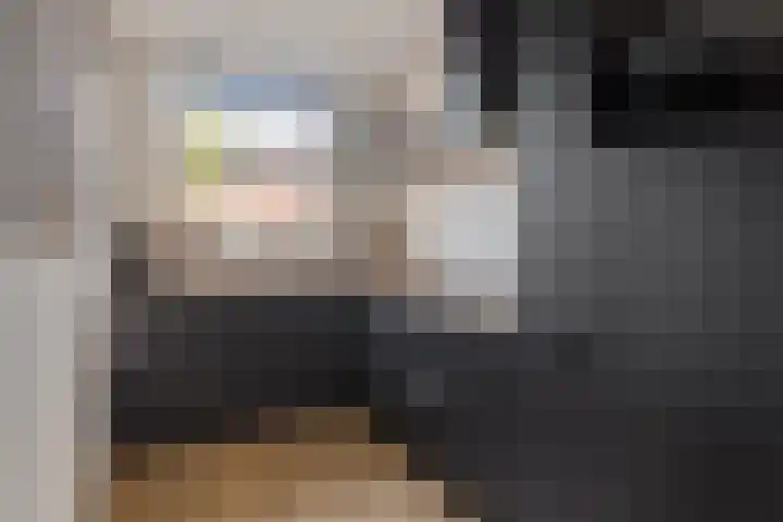 De Bongerd 26 Oss thumbnail 17