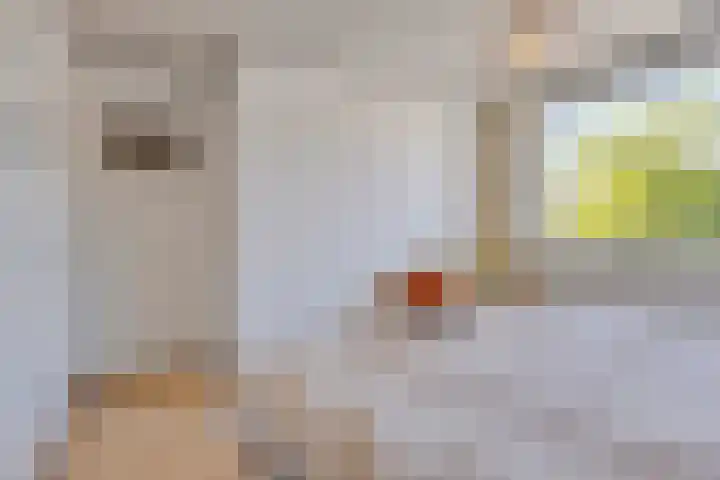 De Bongerd 26 Oss thumbnail 21